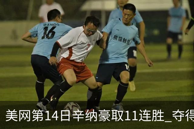 美网第14日辛纳豪取11连胜 夺得生涯大满贯第2冠