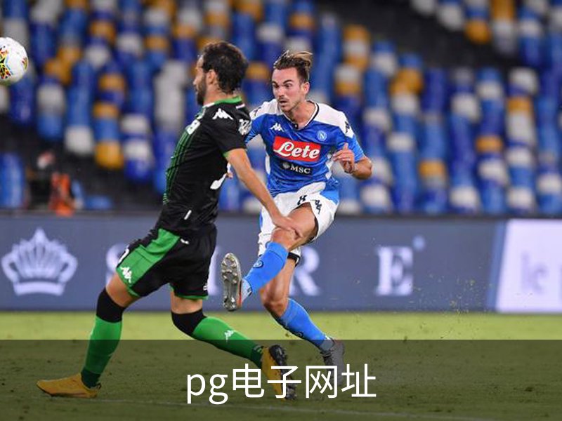 pg电子网址介绍